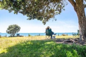 person sitting under a tree