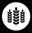 gluten free icon